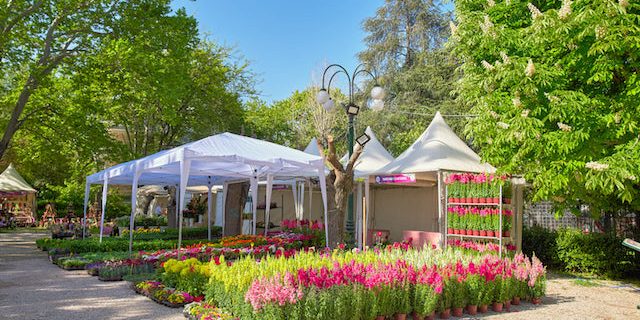 Ανθοκομική Έκθεση Κηφισιάς: Άνοιξη 2022