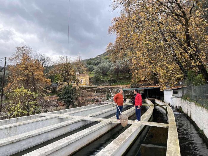 IMG_1476 2 Ταΰγετος: Ψάρεμα σολομού πέστροφας & οξύρρυγχου στο χωριό Καστόρειο