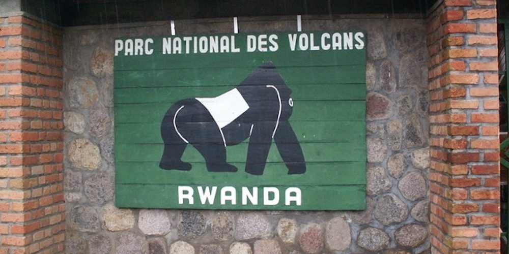 Ρουάντα: στη γη των γορίλων