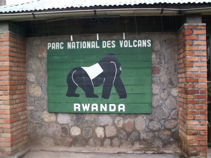 Ρουάντα: στη γη των γορίλων
