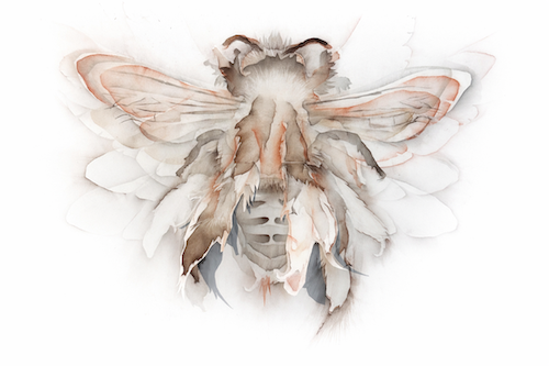 O Νίκος Κανόγλου: Στην Γκαλερί Κέννεντυ